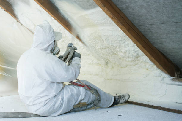 Types of Insulation We Offer in Flomaton, AL