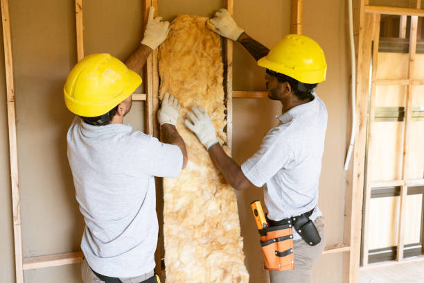 Reliable Flomaton, AL Insulation Removal & Installation Solutions