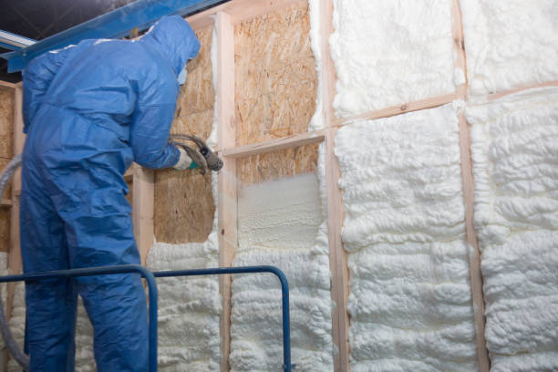 Best Basement Insulation in Flomaton, AL